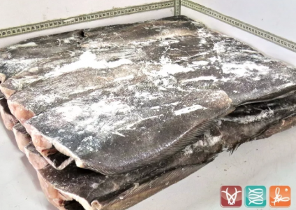 Рыба палтус цена за 1 кг москва